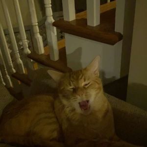 Meet your Posher, Matti